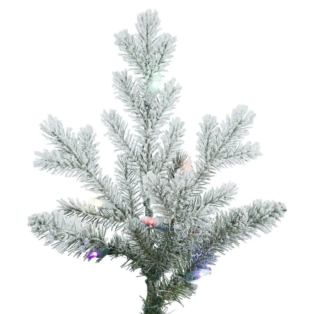 10' Frosted Eastern Fraser Fir Artificial Christmas Tree Colored Dura-Lit LED