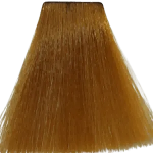 Augeas Professional Hair Color - 8.3 Light Golden Blonde