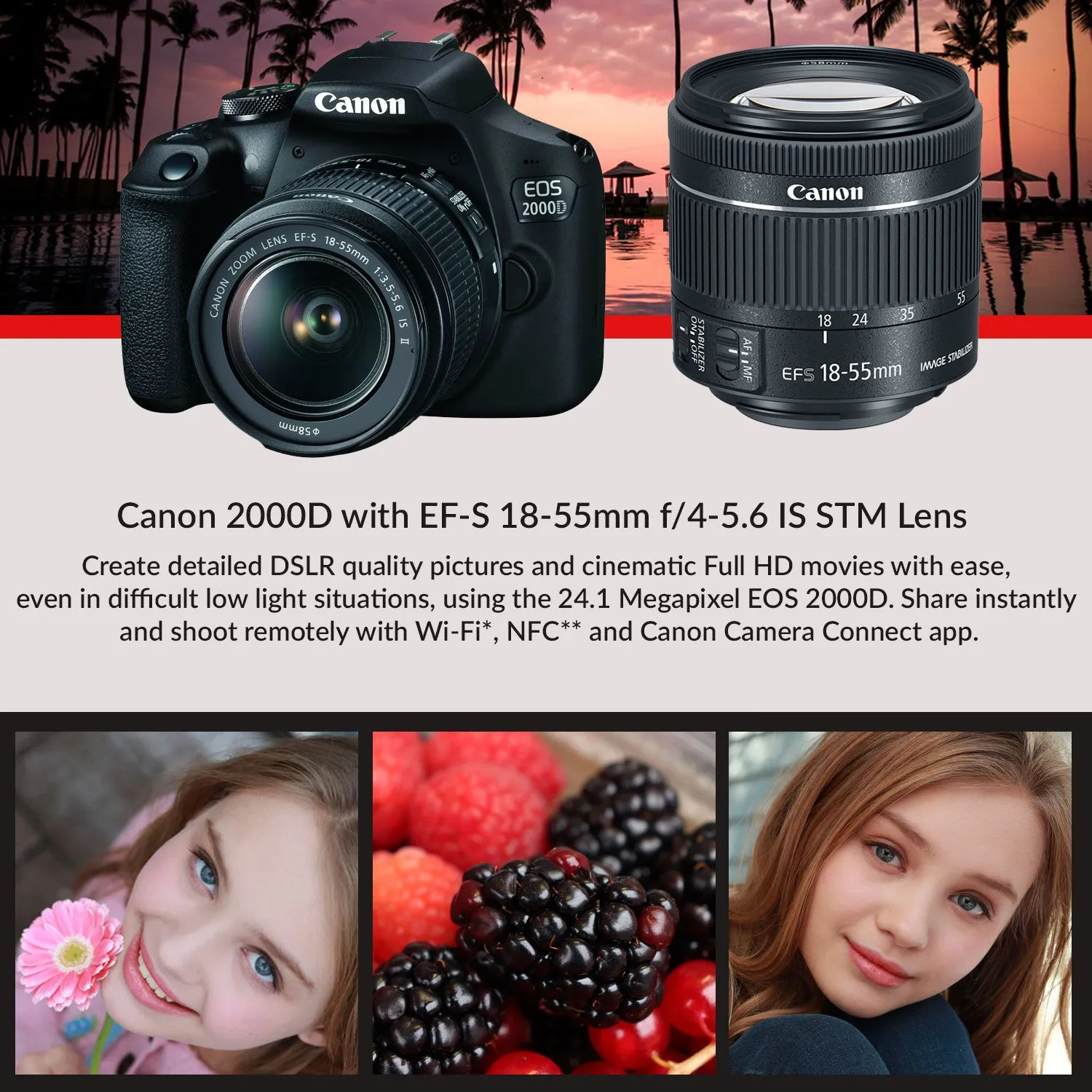 Canon EOS 2000D (Rebel t7) DSLR Camera and EF-S 18-55 mm f/3.5-5.6 IS II Lens   75-300mm Telephoto Zoom Lens   64GB Memory Card