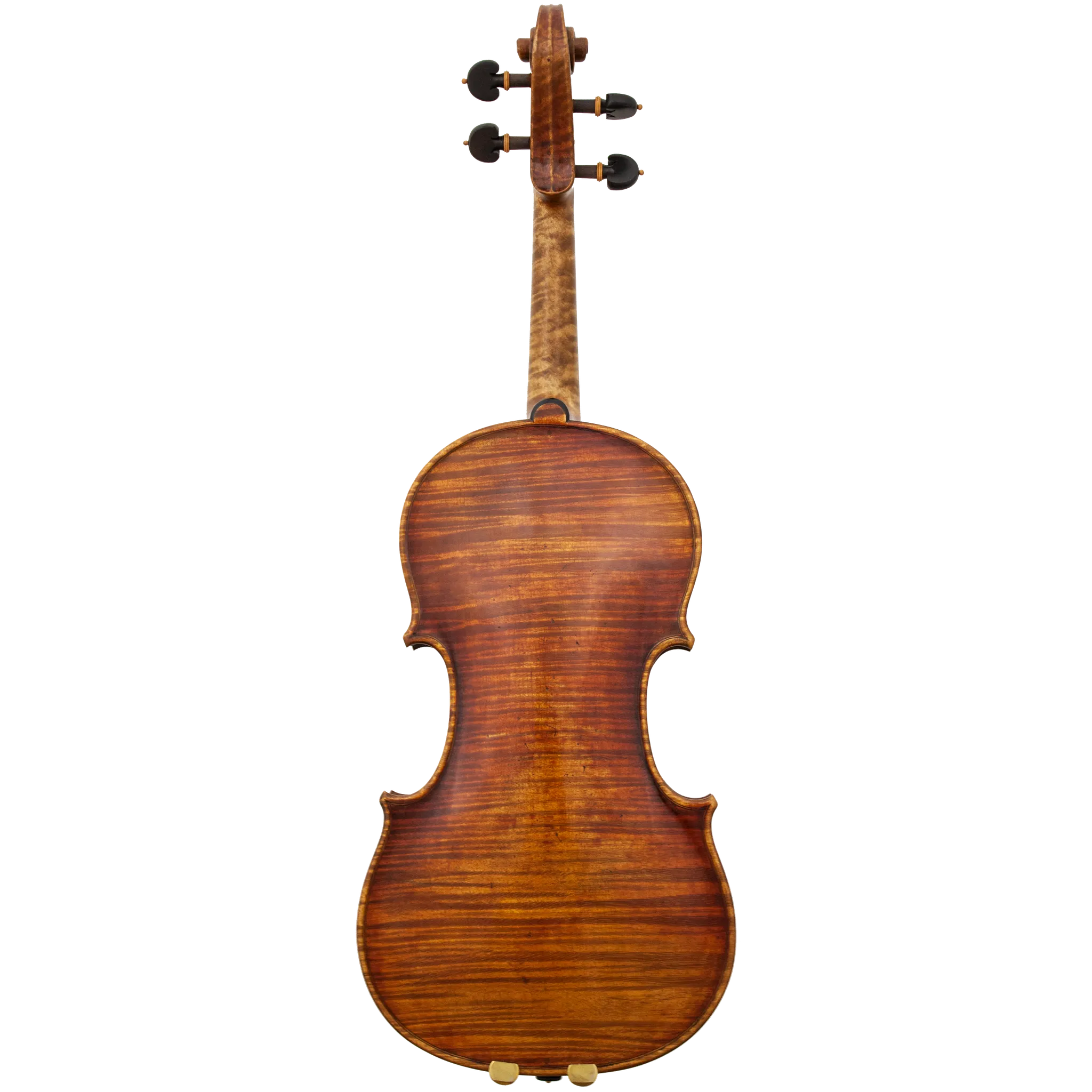 Master Linn Maple Leaf Strings Professional Viola with Case