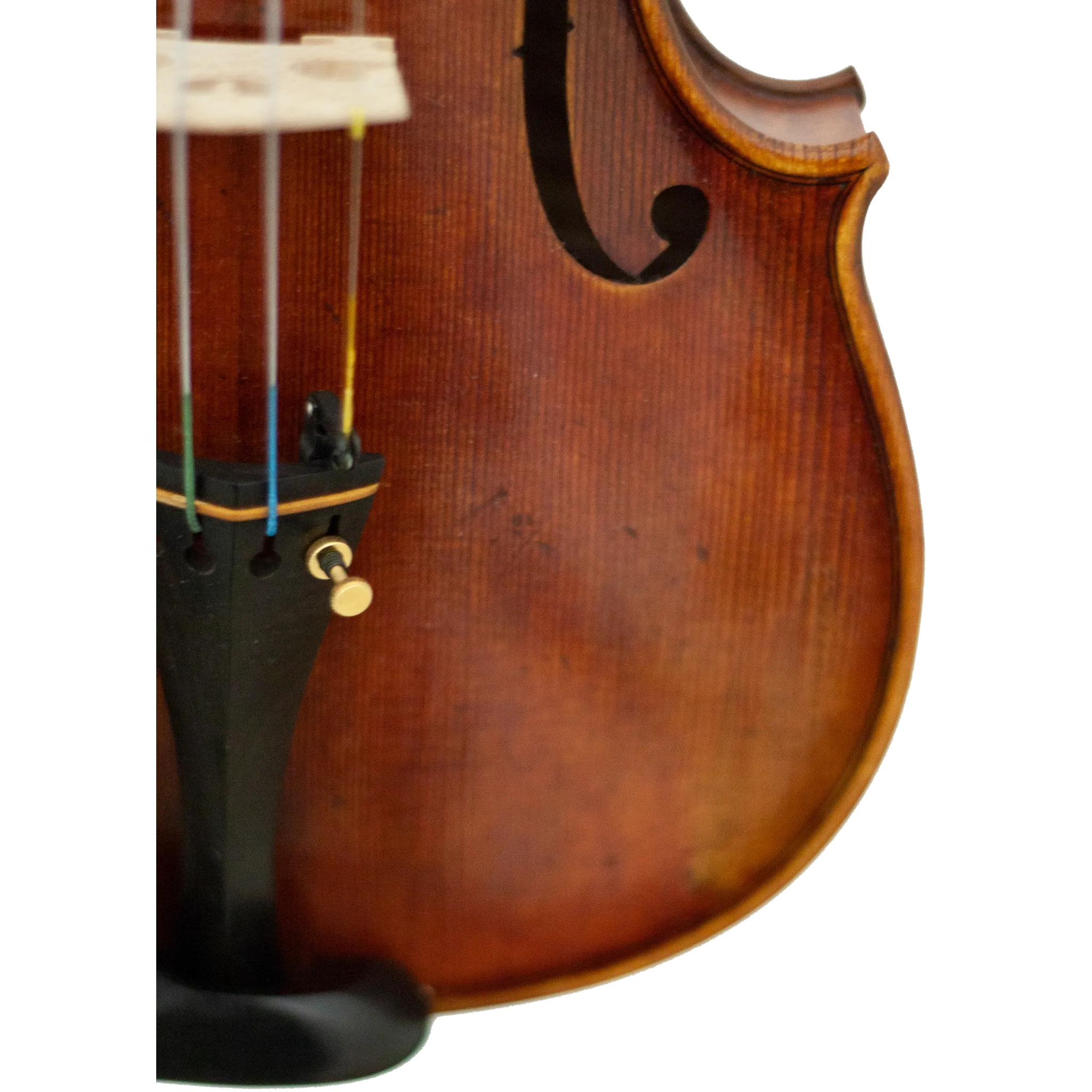 Master Linn Maple Leaf Strings Professional Viola with Case