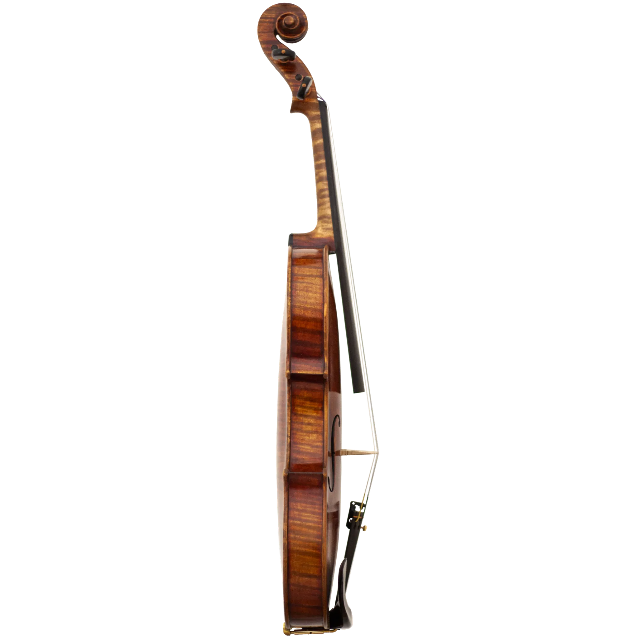 Master Linn Maple Leaf Strings Professional Viola with Case