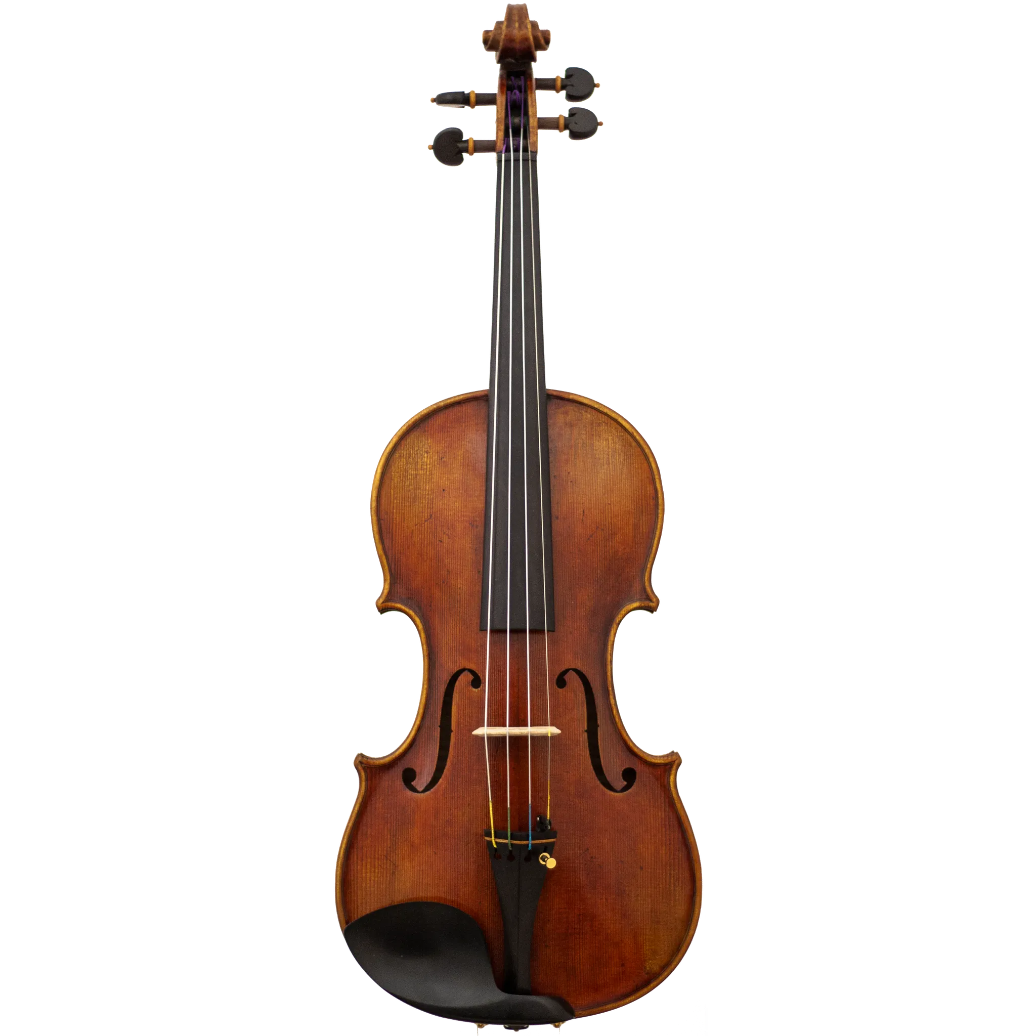 Master Linn Maple Leaf Strings Professional Viola with Case