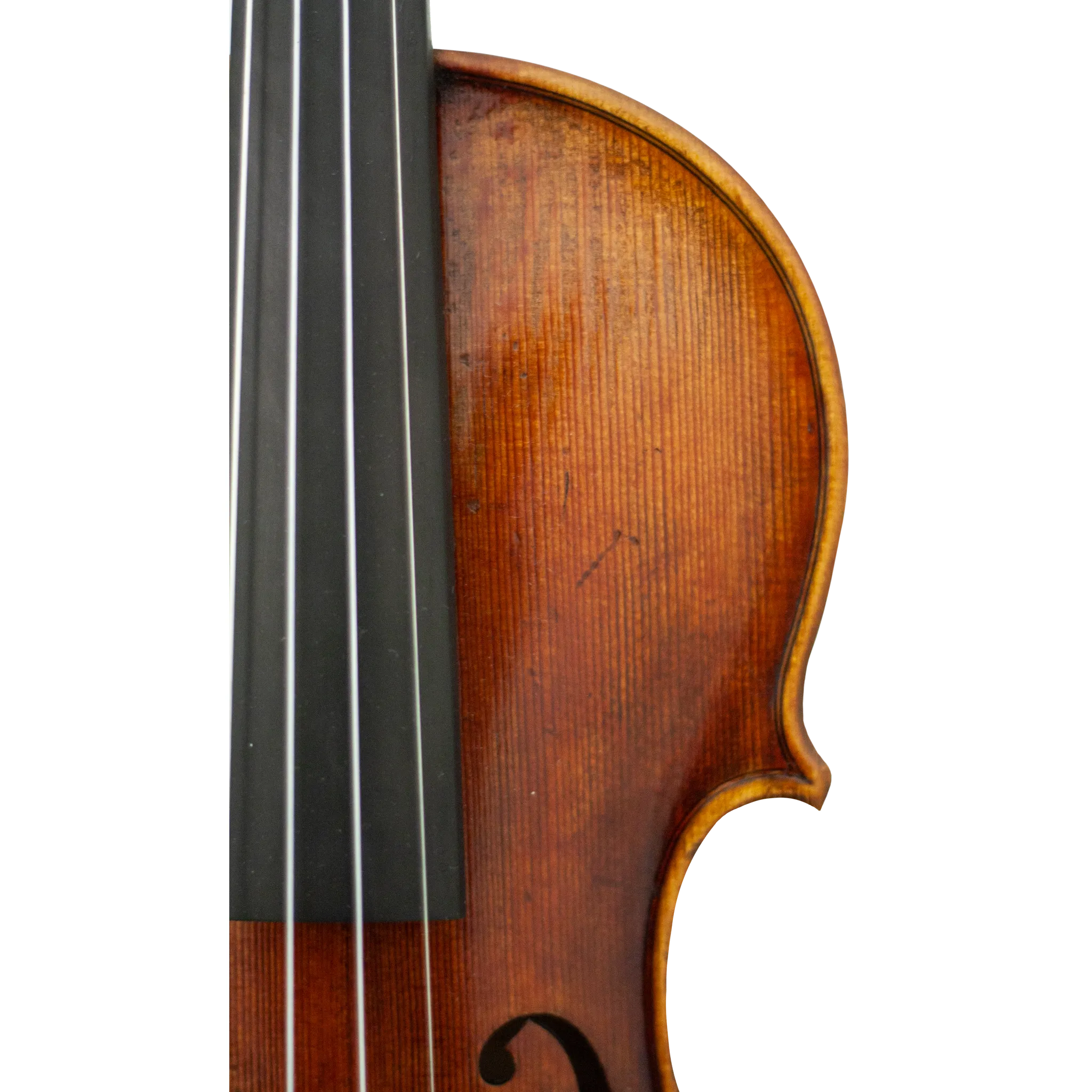 Master Linn Maple Leaf Strings Professional Violin with Case